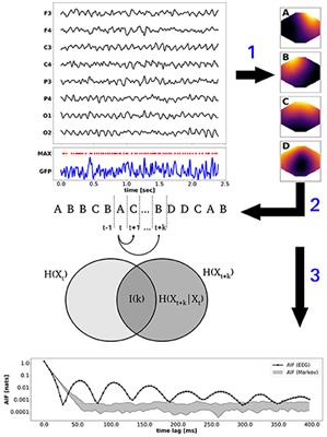 Information-Theoretical Analysis of EEG Microstate Sequences in Python